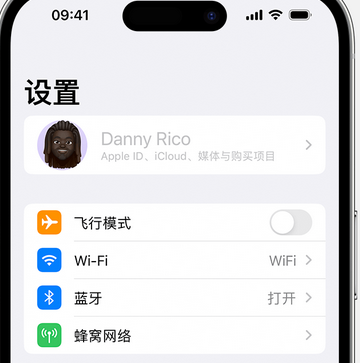 屏边appleID维修服务iPhone设置中Apple ID显示为灰色无法使用 