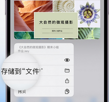 屏边apple维修中心分享iPhone文件应用中存储和找到下载文件