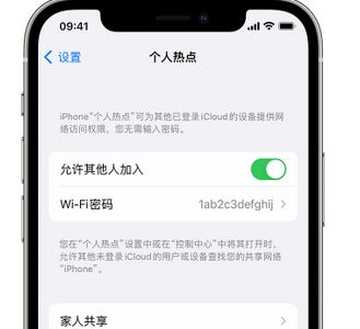 屏边apple服务站点分享iPhone上个人热点丢失了怎么办 