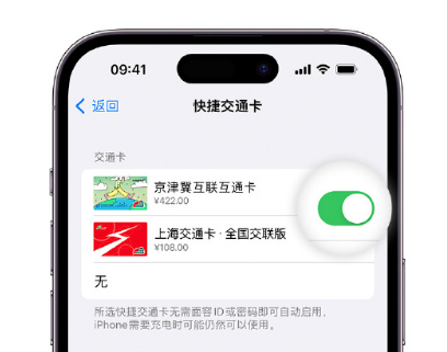 屏边apple维修点分享iPhone上更换Apple Pay快捷交通卡手绘卡面 