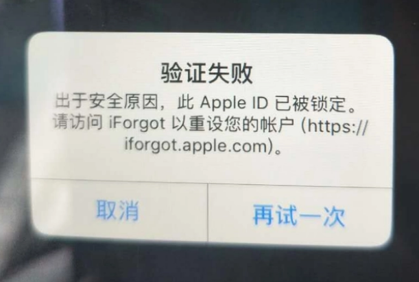 屏边iPhone维修分享iPhone上正常登录或使用AppleID怎么办 