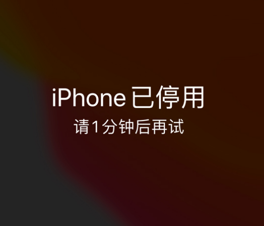 屏边苹果手机维修分享:iPhone 显示“不可用”或“已停用”怎么办？还能保留数据吗？ 