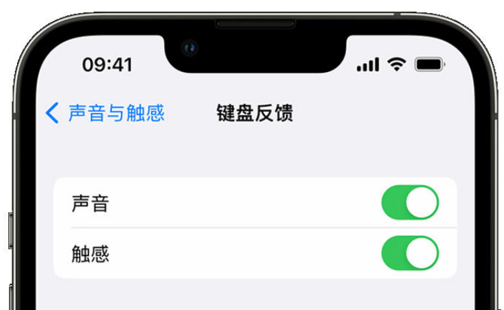 屏边苹果手机维修分享iPhone 14触感键盘使用方法 