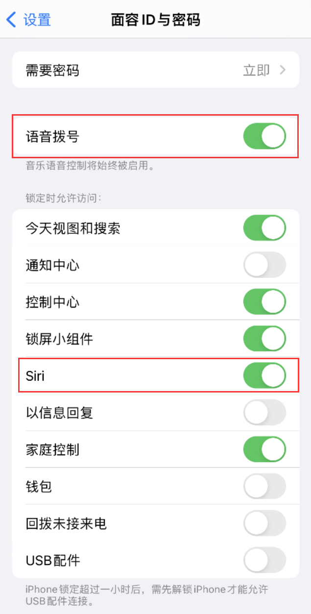 屏边苹果维修网点分享不解锁 iPhone 的情况下通过 Siri 拨打电话的方法 