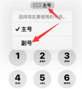 屏边苹果14维修店分享iPhone 14 Pro Max使用副卡打电话的方法 