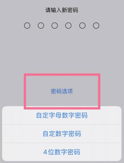 屏边苹果14维修分享iPhone 14plus设置密码的方法 