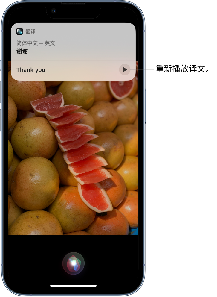 屏边苹果14维修分享 iPhone 14 机型中使用 Siri：了解 Siri 能帮你做什么 