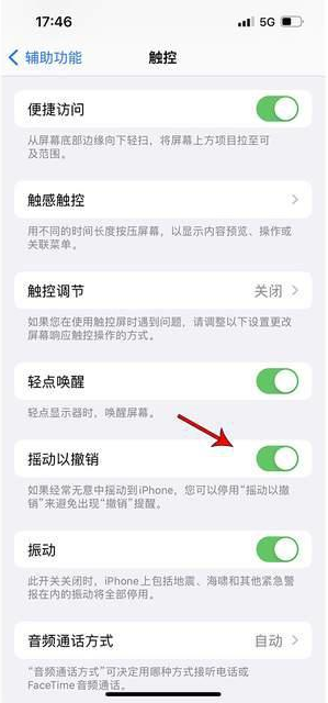 屏边苹果手机维修分享iPhone手机如何设置摇一摇删除文字 