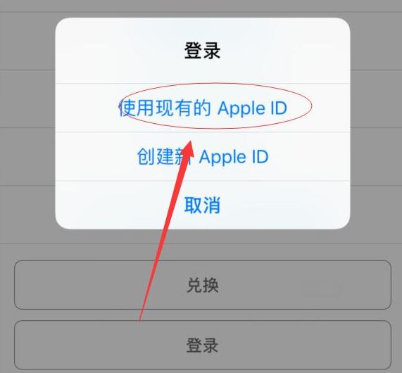 屏边苹果手机维修分享两台iPhone设备可以同时登录一个Apple ID吗 