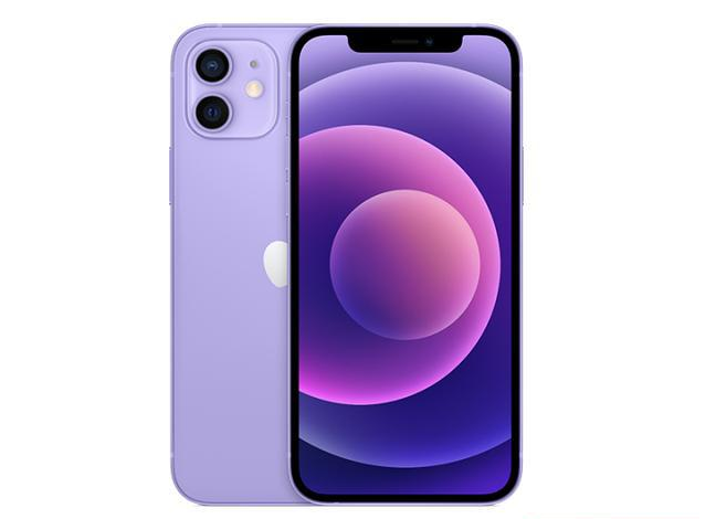 屏边苹果手机维修分享现阶段要不要入手紫色版iPhone12 