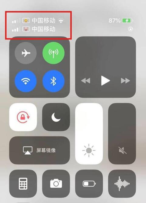 屏边苹果手机维修分享为 iPhone 12 双卡设置标签 