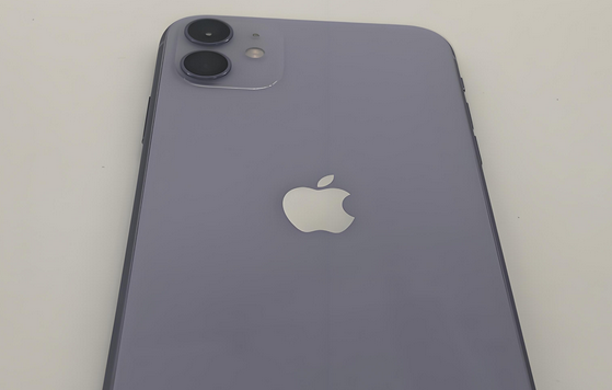 屏边苹果11系统维修分享iPhone11手机系统崩溃无法开机如何解决