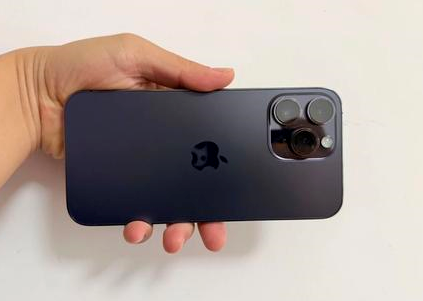 屏边苹果维修点分享iPhone 14 Pro Max黑屏少见故障盘点 